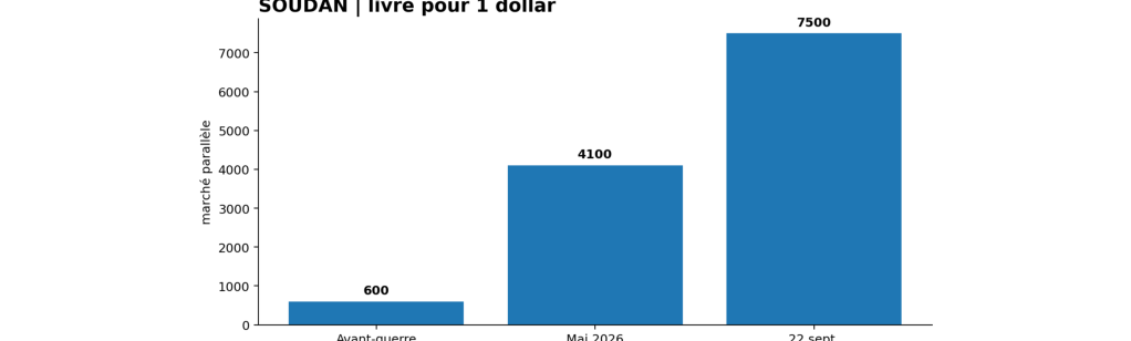 Le dollar atteint 7 500 livres sur le marché parallèle